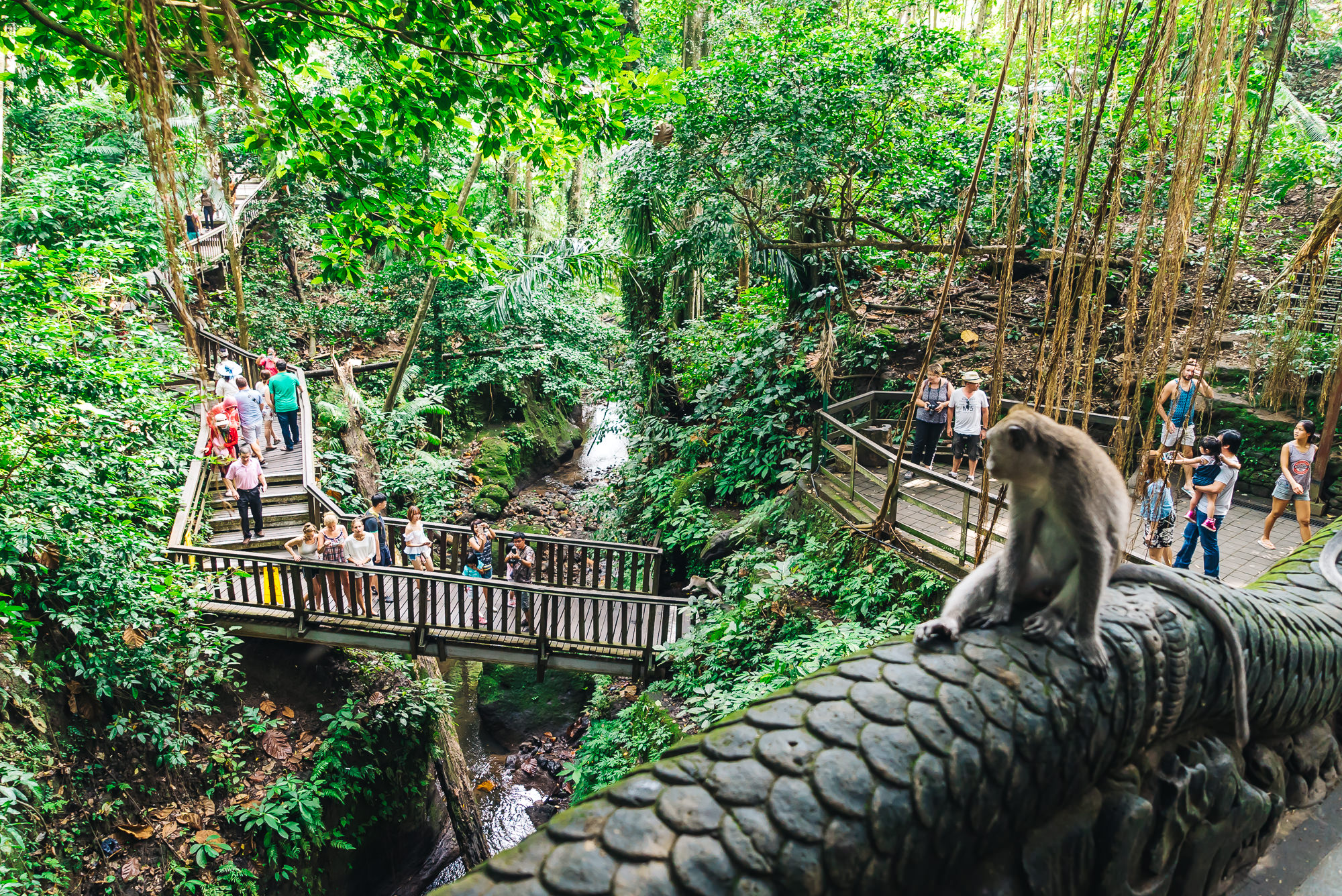 Ubud Monkey Forest 01